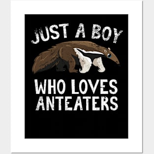 Just A Boy Who Loves Anteaters Posters and Art